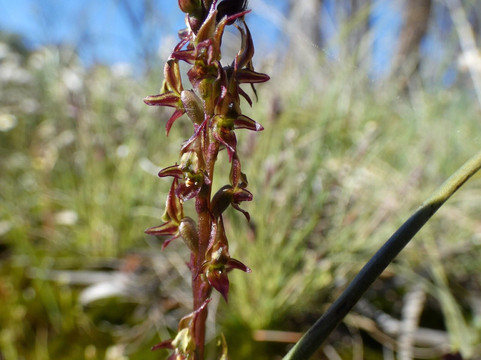 Hidden Hollow-Narembeen必去景点