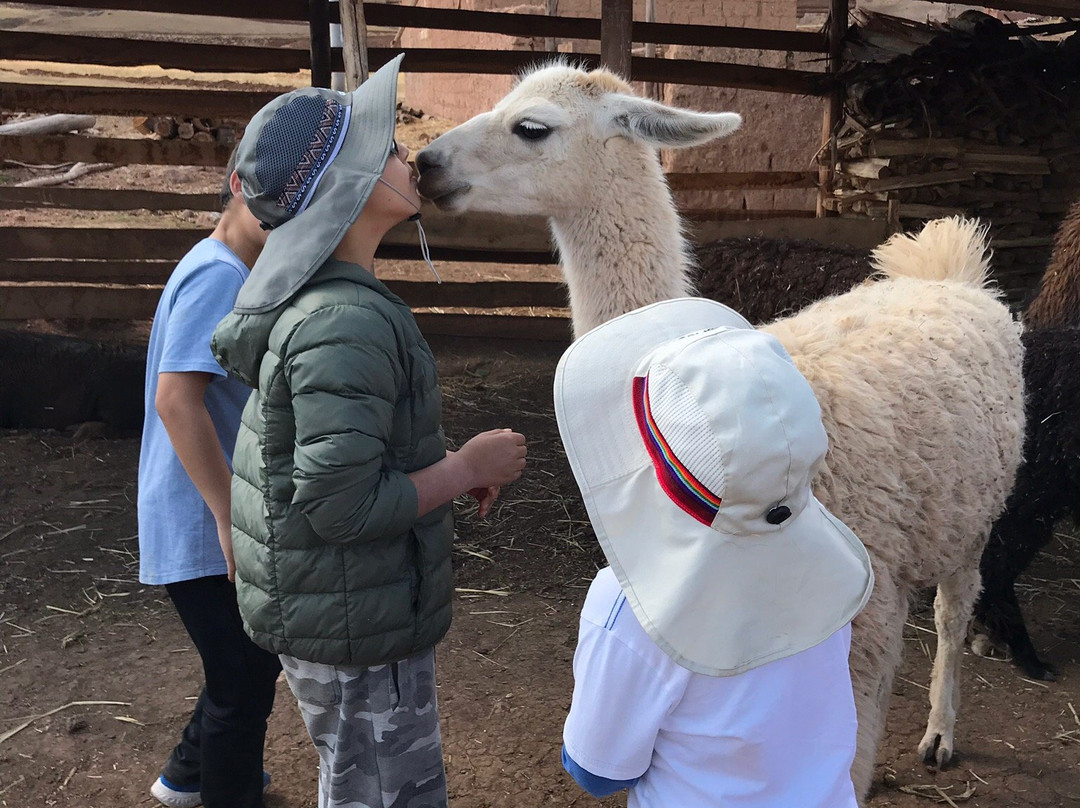 Laguna de Huaypo-库斯科必去景点