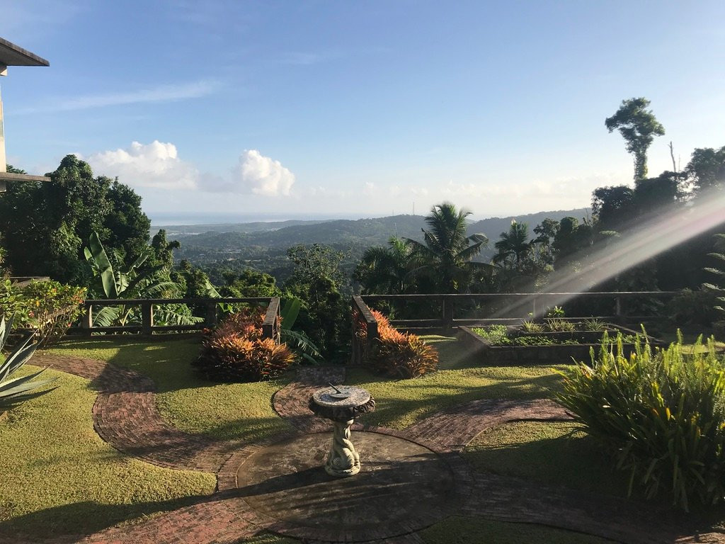 EL Yunque Rainforest Inn主图