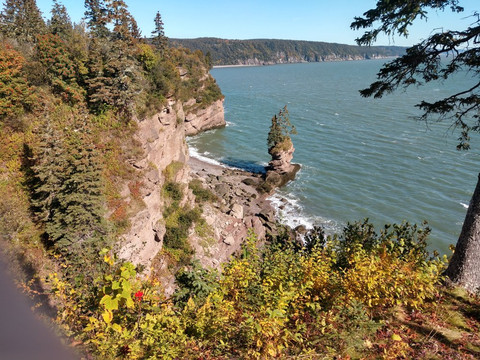 Go Fundy Tours-圣约翰必去景点