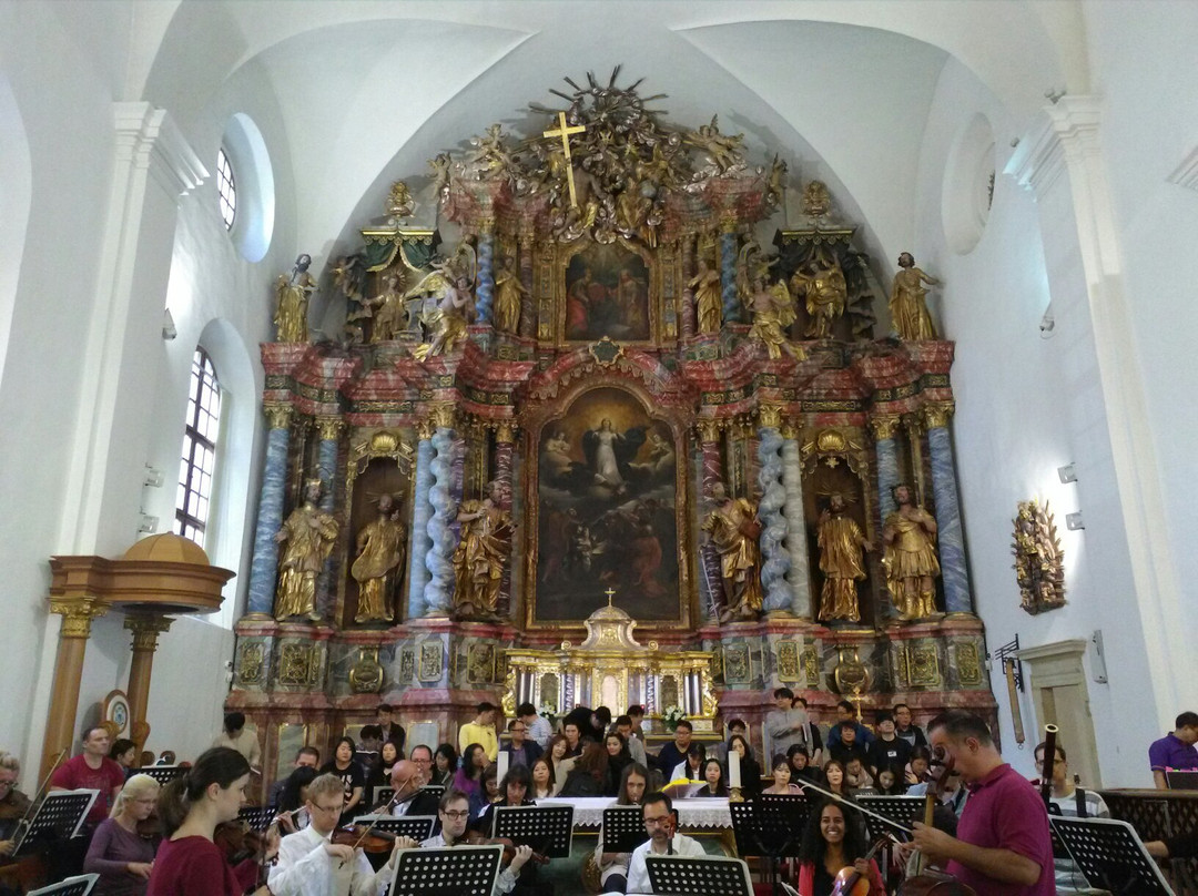 Varazdinska Katedrala Uznesenja Blazene Djevice Marije Na Nebo-Varazdin必去景点