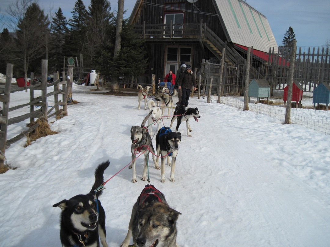 Eden Dogsledding景点图片