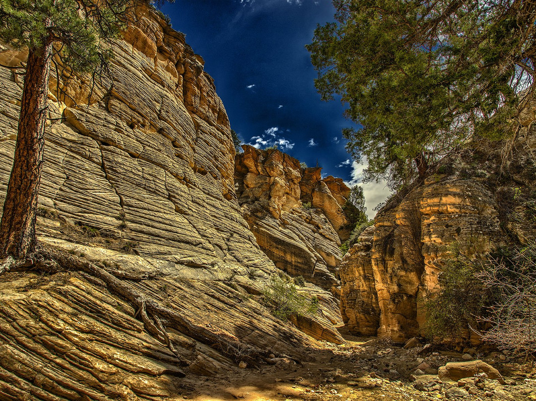 Lick Wash Slot Canyon