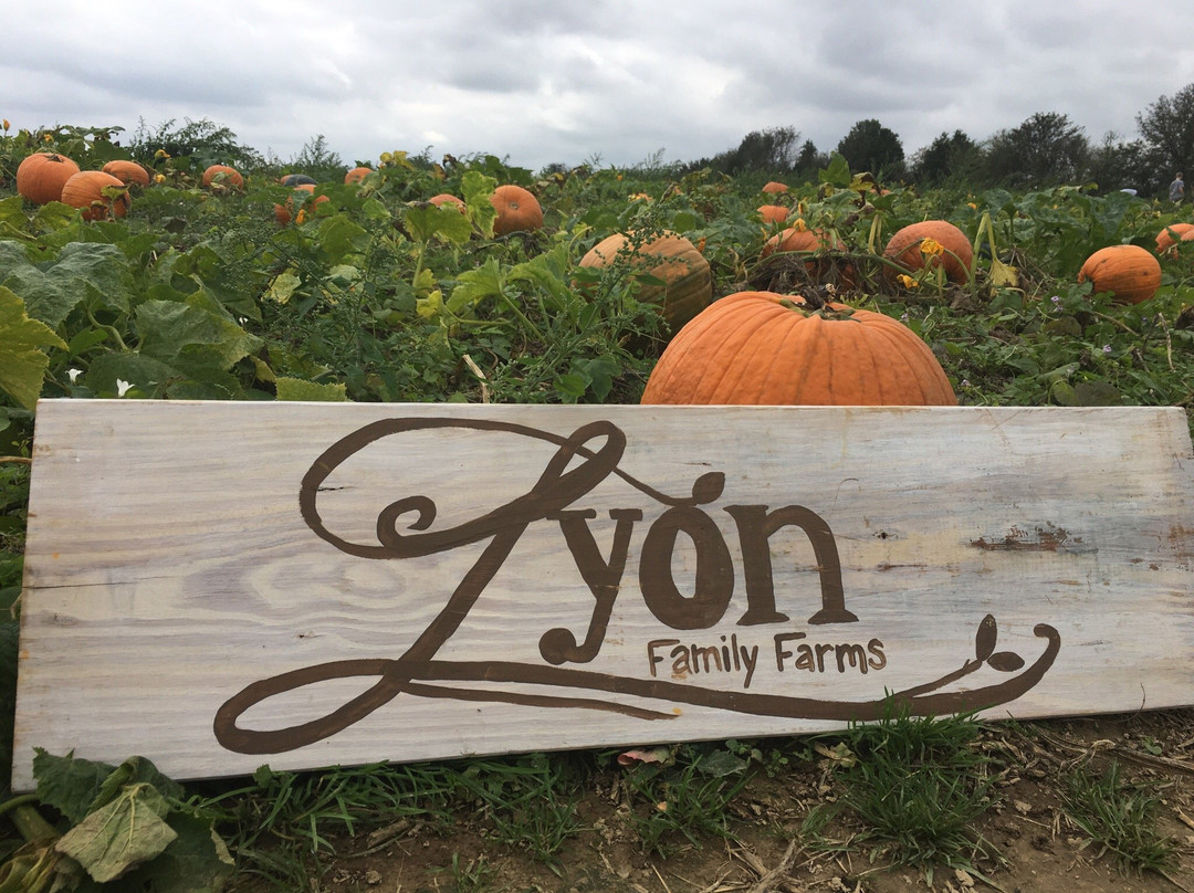 Lyon Family Farms景点图片