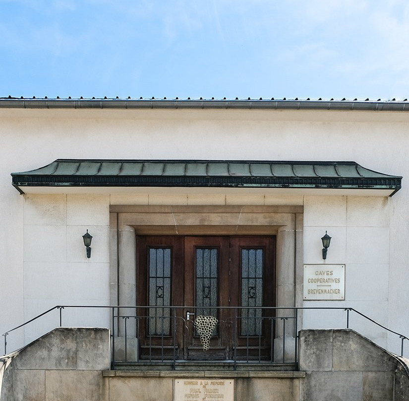 Domaines Vinsmoselle - Caves des Vignerons Grevenmacher-Grevenmacher必去景点