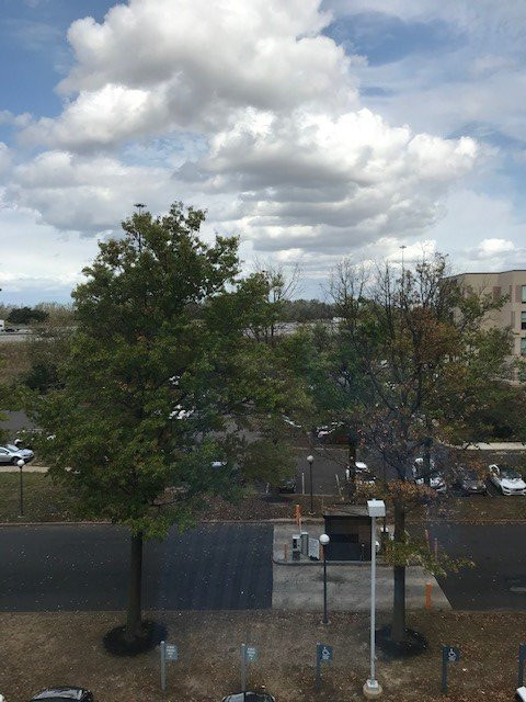 费城机场雅乐轩酒店主图