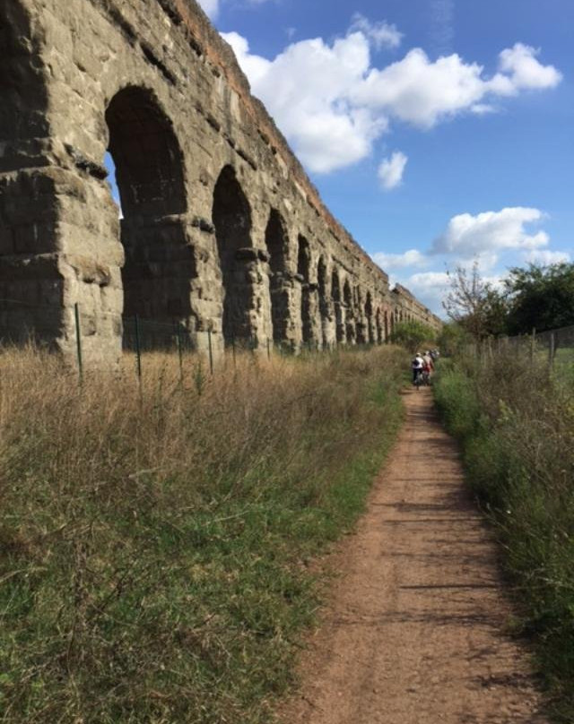 顶级租赁自行车之旅景点图片