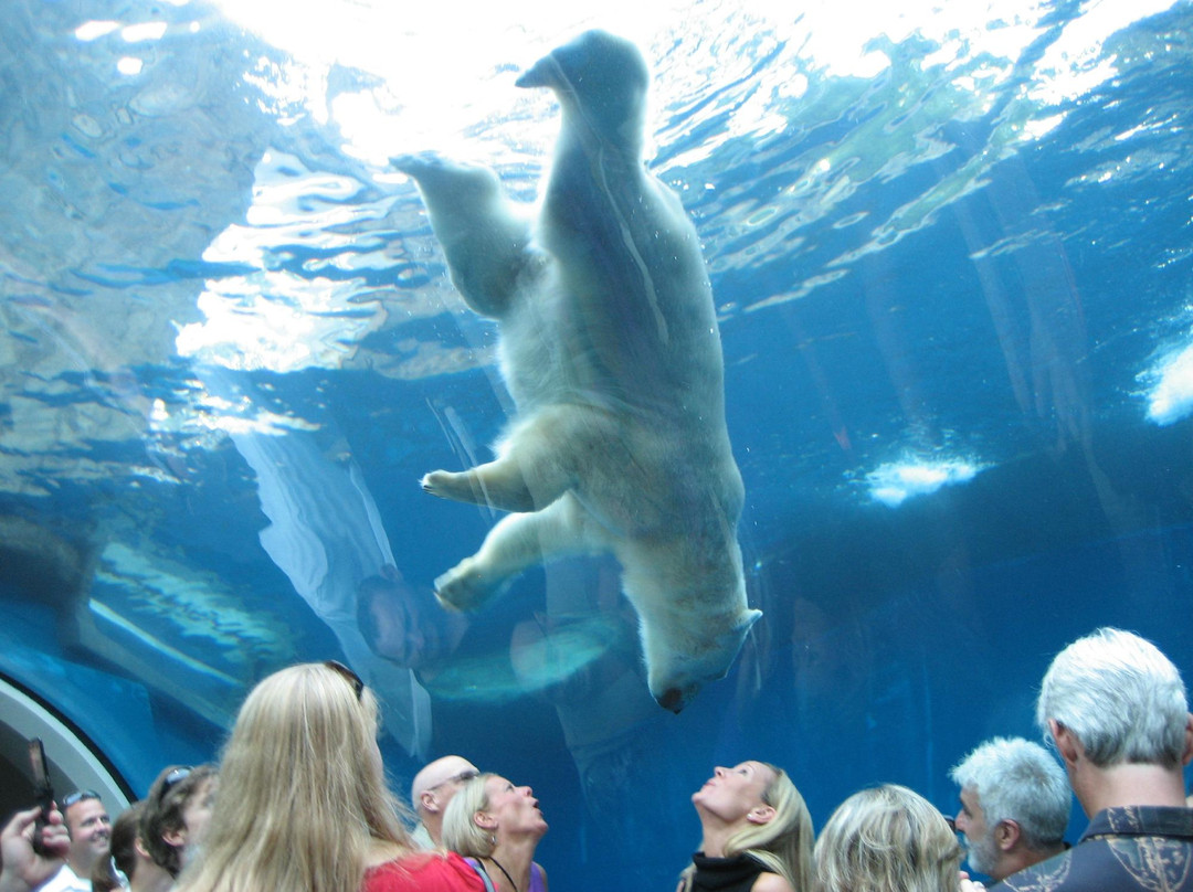 Pittsburgh Zoo & Aquarium景点图片
