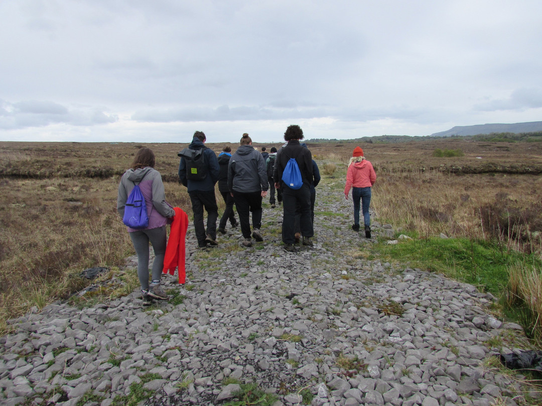Turf Bog Tours by McAndrew's Store-Belleek必去景点
