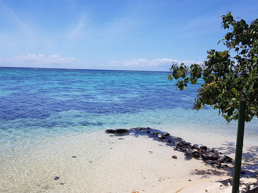 Moorea Surf Inn主图