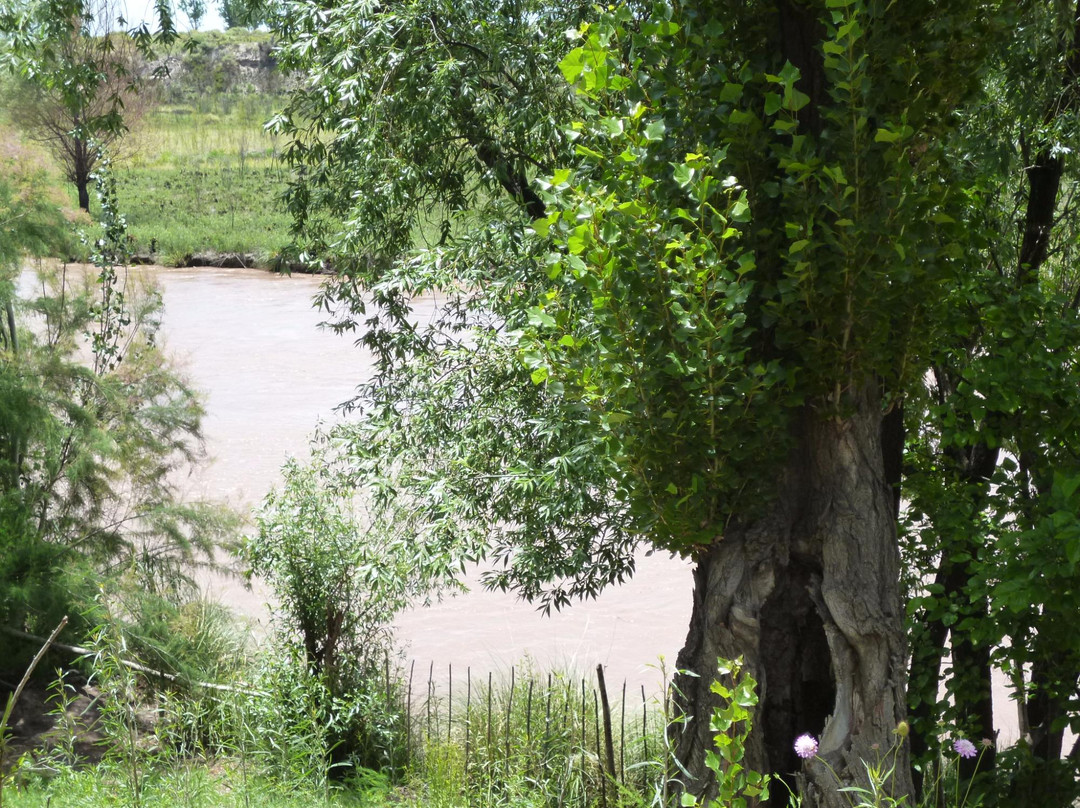 Parque de la Lombardia景点图片