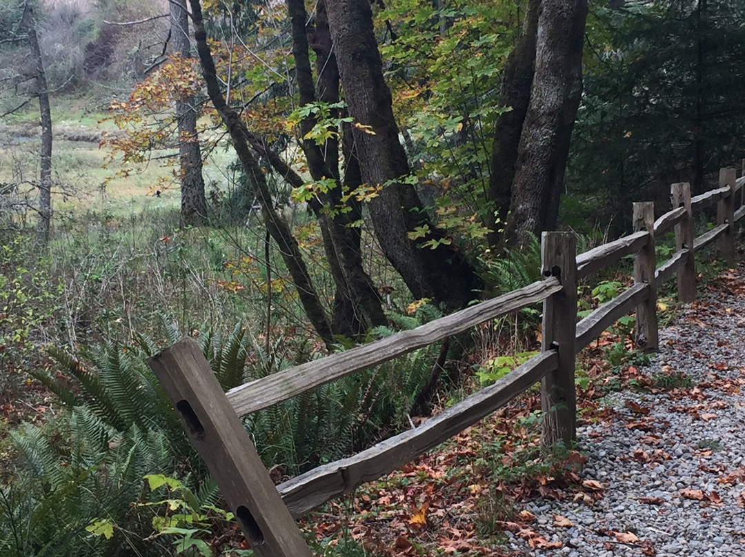 Sequalitchew Creek Trail Head景点图片