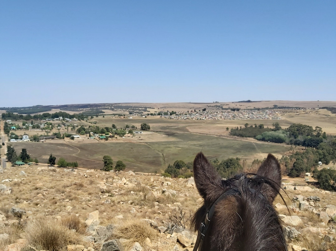 Dullstroom on Horseback-德尔斯特鲁姆必去景点