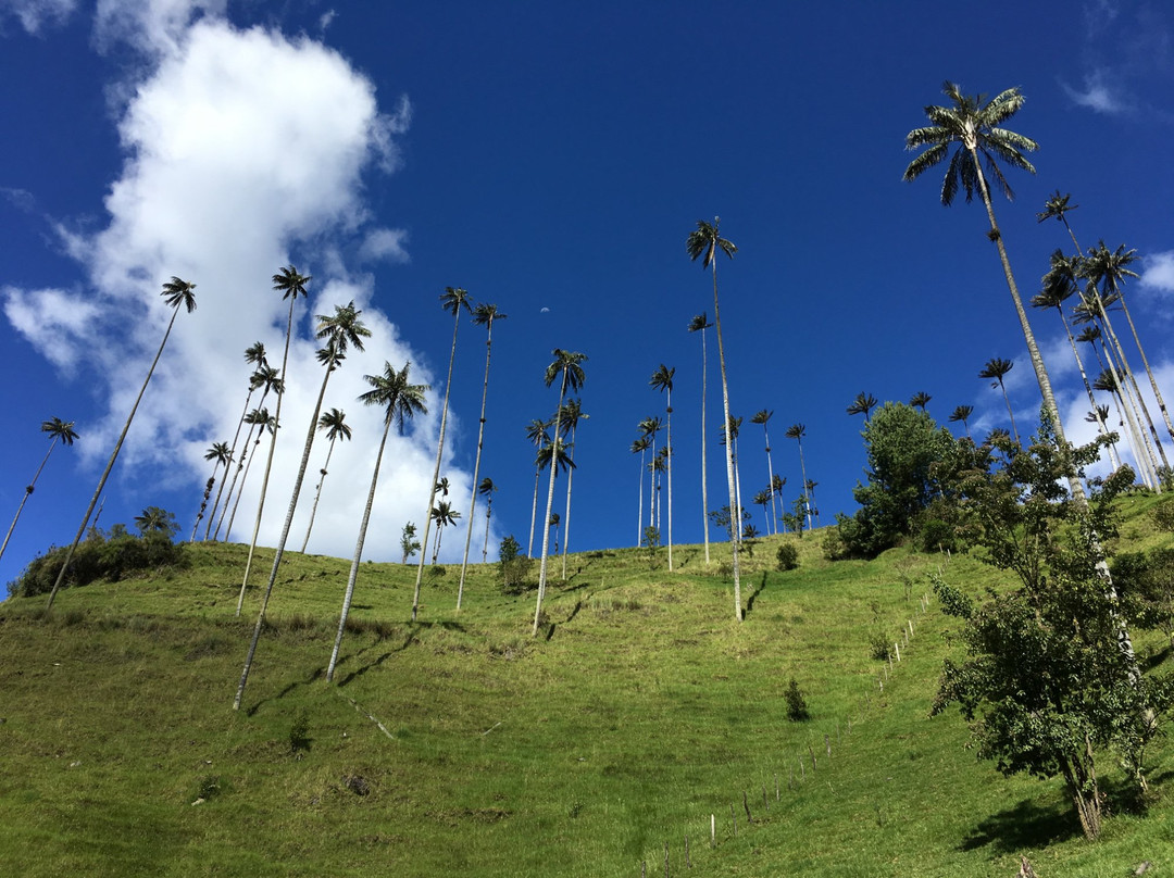 Paisadventure-佩雷拉必去景点