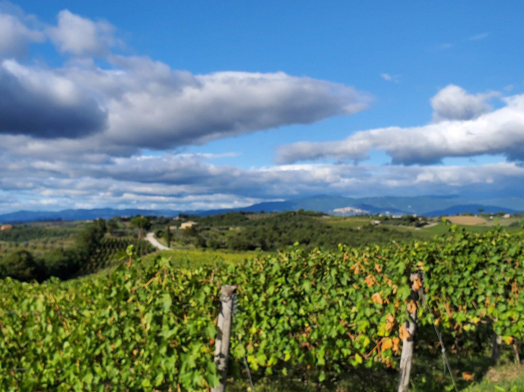 Palazzo Vecchio Winery-Valiano必去景点