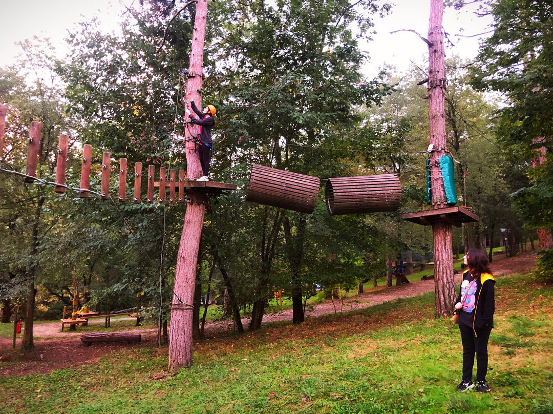 Around Adventures - Parco e Piscina Fratta Terme景点图片