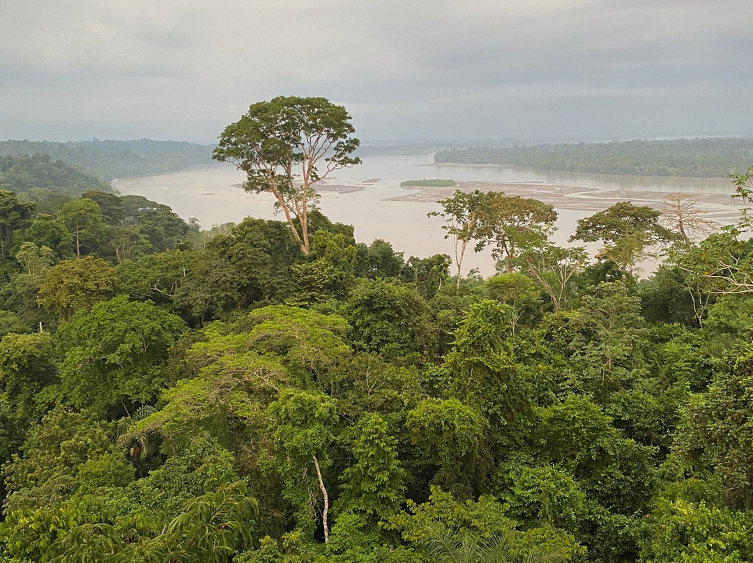 Jc Travel - Jorge Carriel