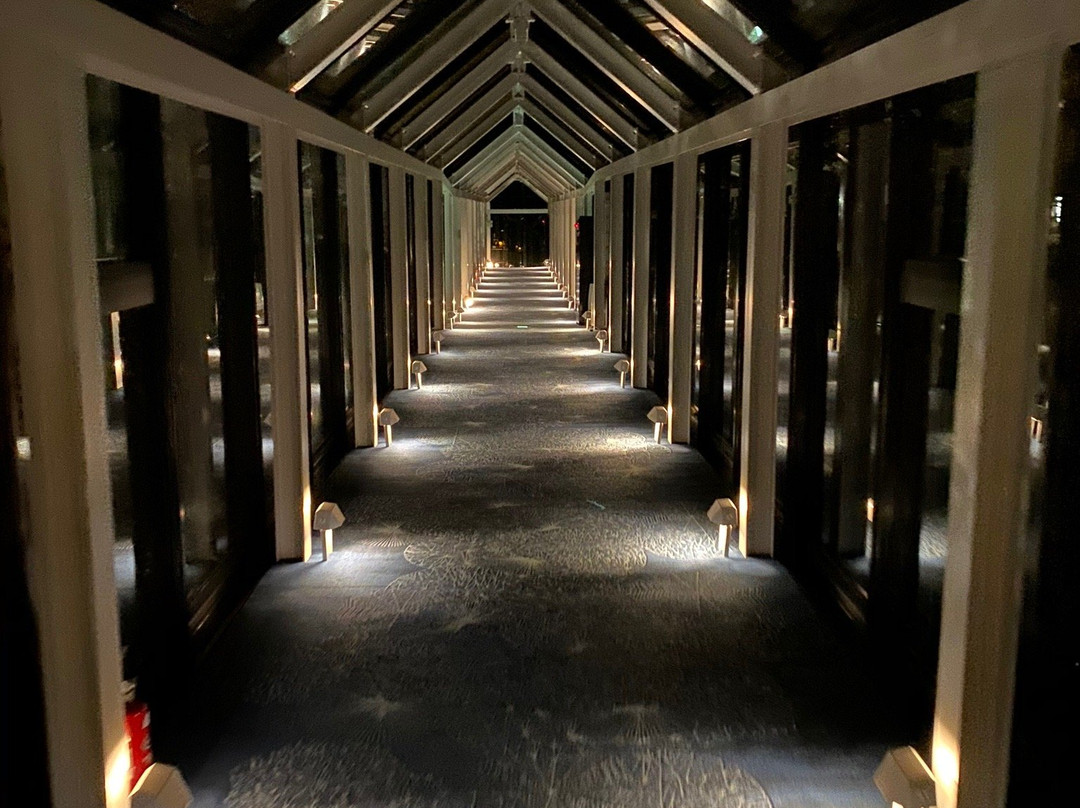Club Med Tomamu Hokkaido-占冠村必去景点