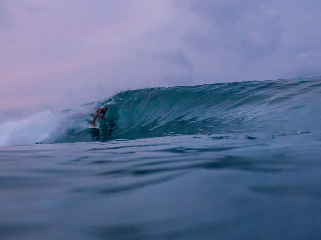 Rote Surf School景点图片