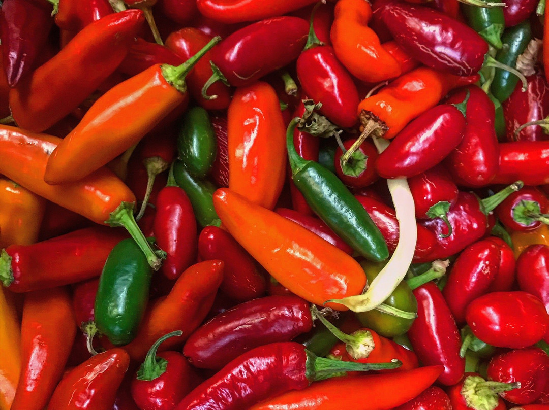 Trauger's Farm Market-Kintnersville必去景点