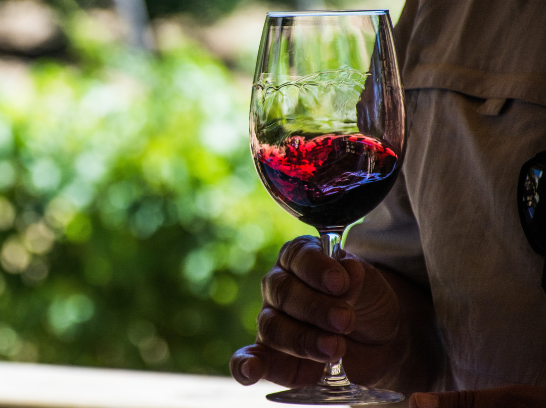 Hacienda Historica Marchigue主图