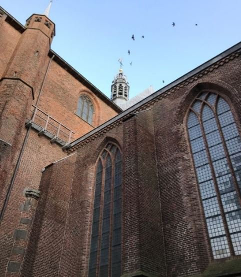 Grote Kerk-Harderwijk必去景点