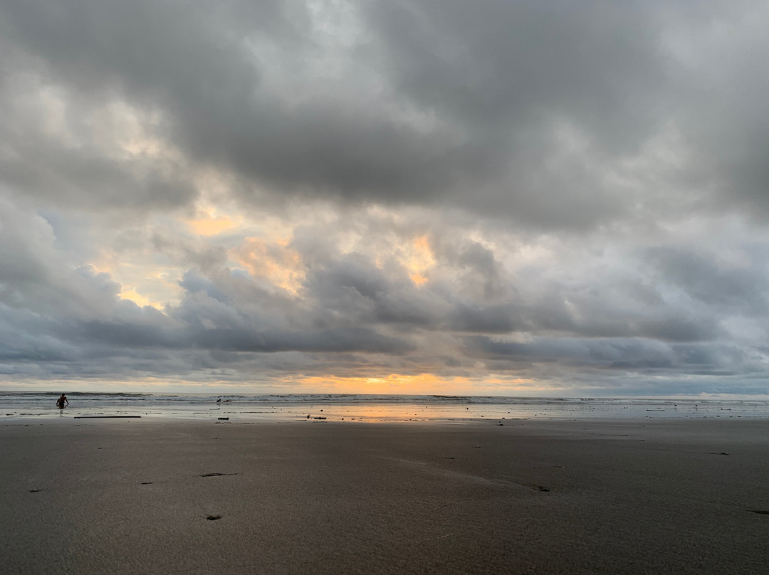 Ecolodge El Almejal主图