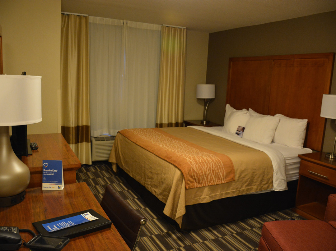 Comfort Inn & Suites Edmonton International Airport主图