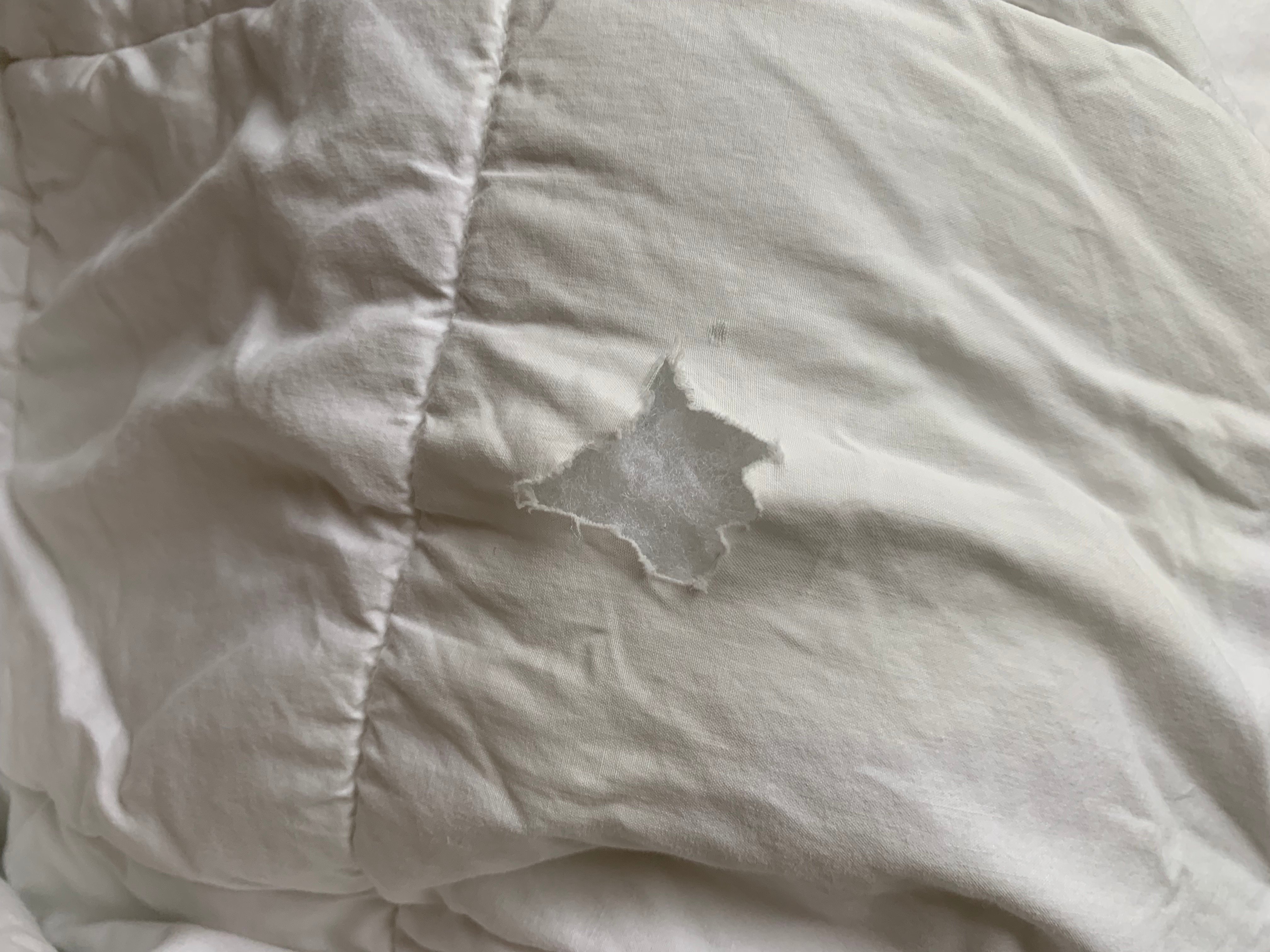 Travelodge by Wyndham Matteson-官方