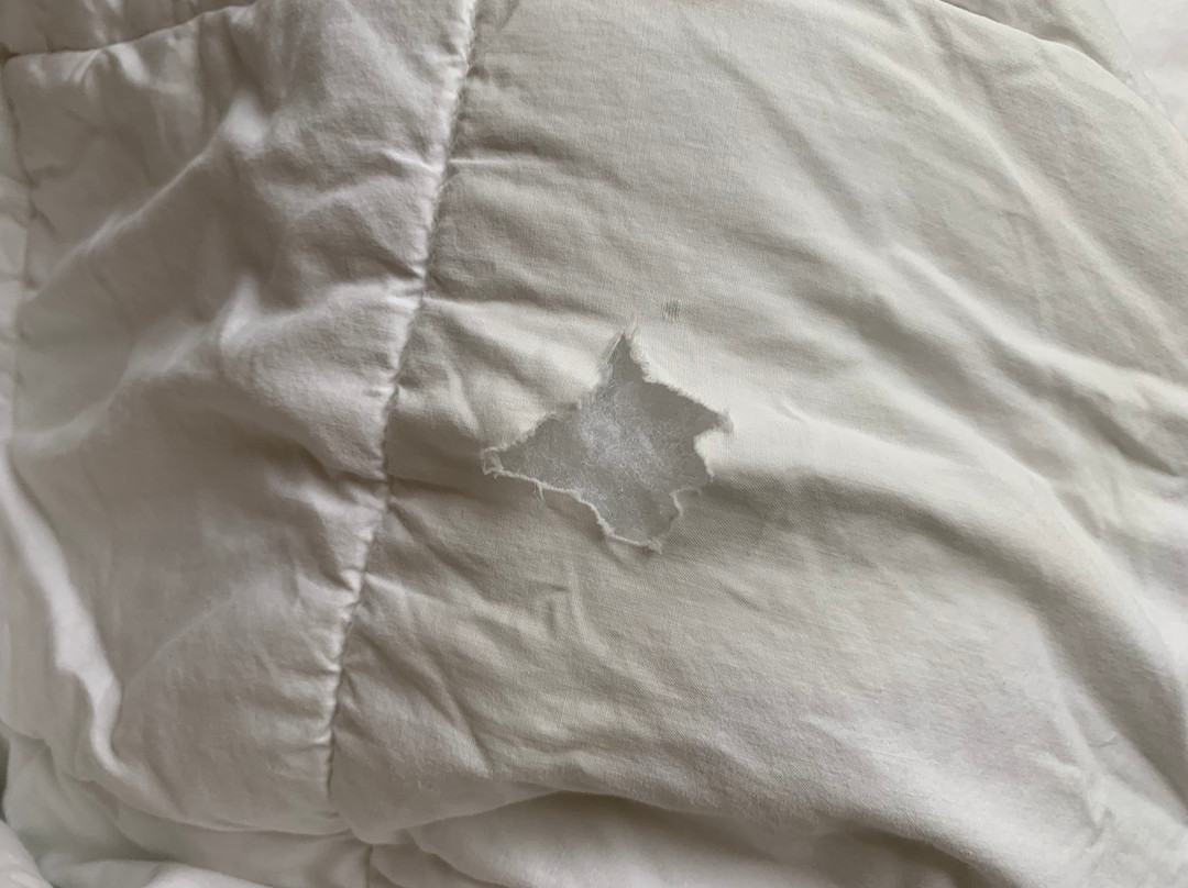 Monee酒店住宿-Travelodge by Wyndham Matteson