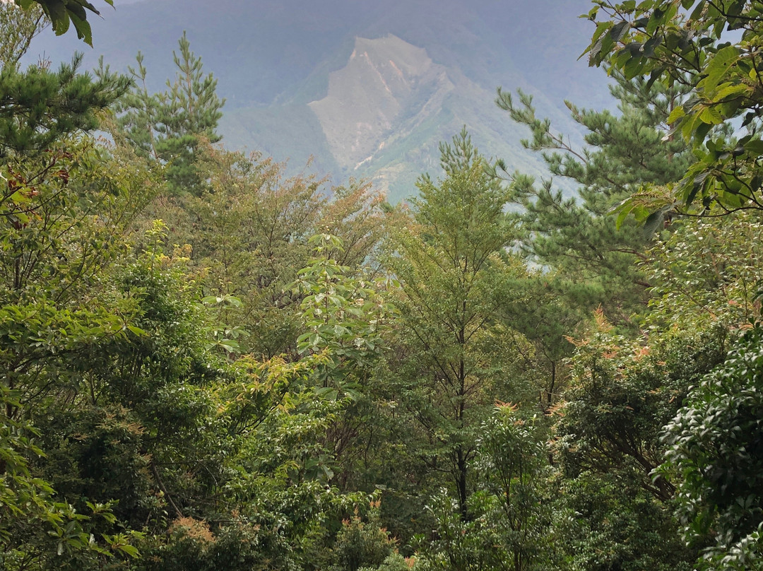 Mt. Kannon Mine景点图片