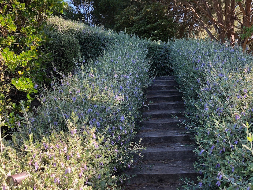 Hunter Gatherer Tours-Havelock North必去景点