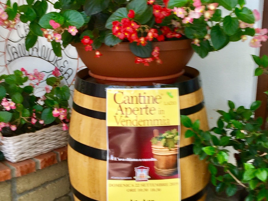 Cantina Sant'Andrea Azienda Agricola景点图片
