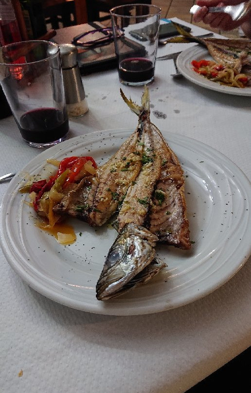 皮库阿乡村旅馆主图