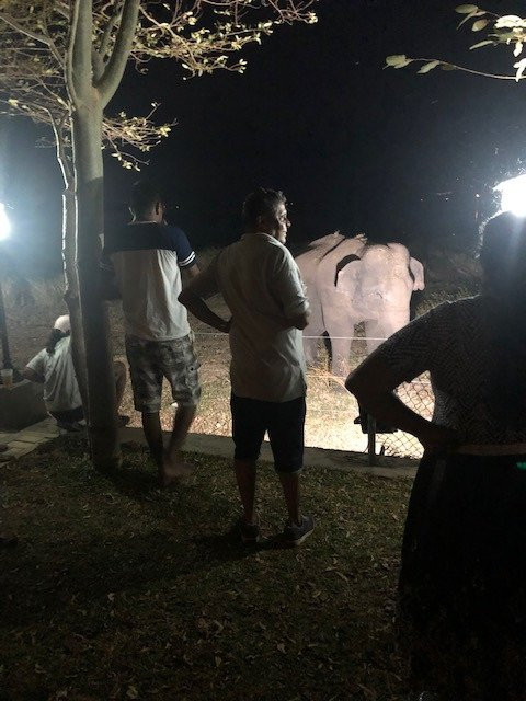 湖泊公园酒店主图