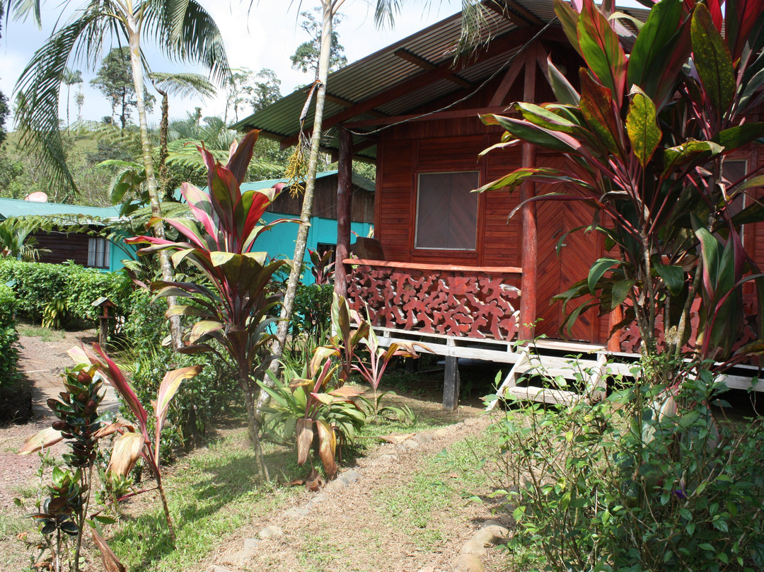 Posada Rio Celeste La Amistad主图