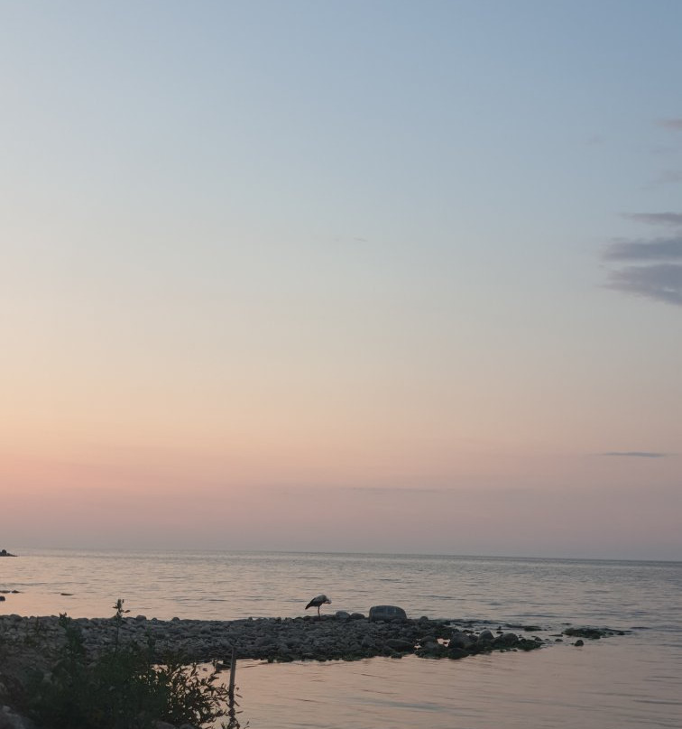 Vaino Turismitalu
