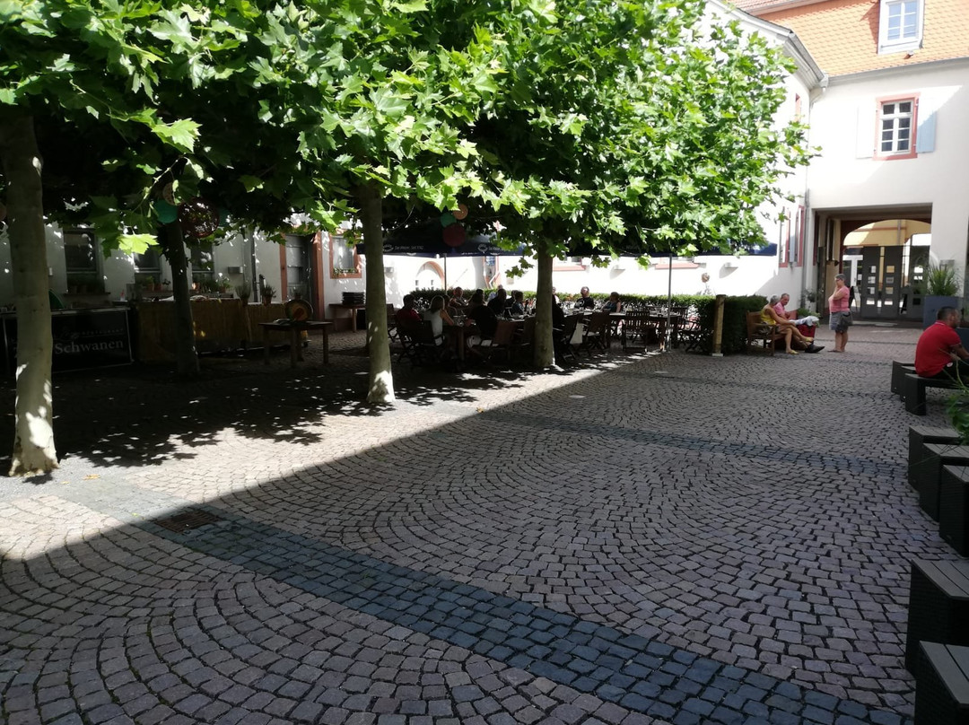 Landhotel Zum Schwanen主图