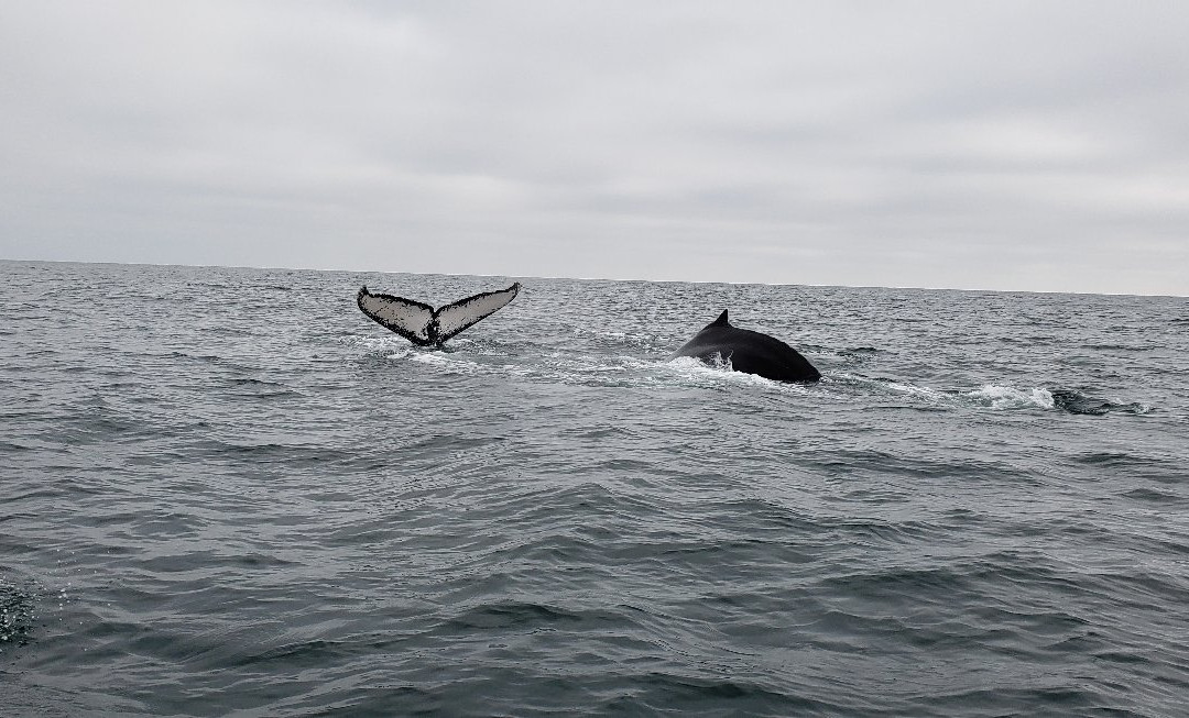 Hotel Hosteria Nantu主图