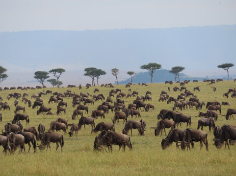 Northern Treks Tanzania