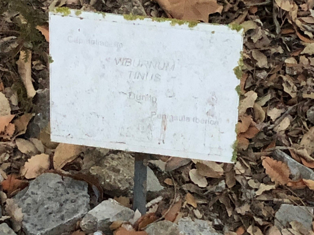 Jardín Botanico Celestino Mutis-罗塔必去景点