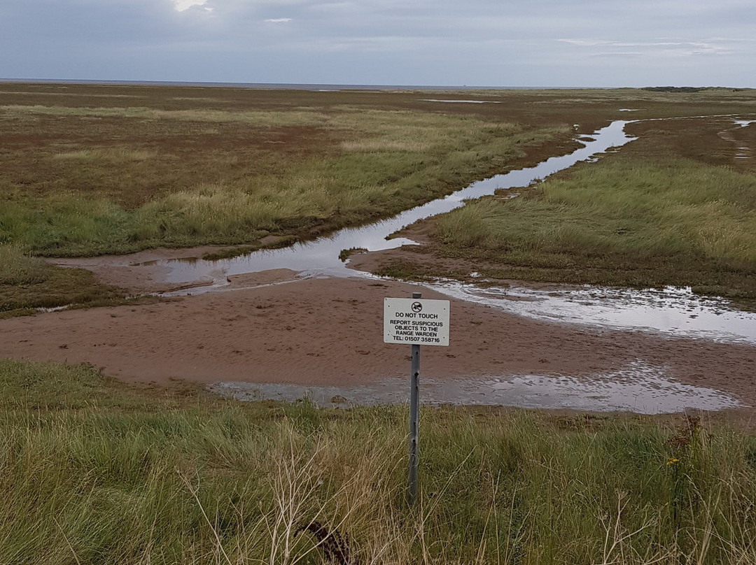 Donna Nook Nature Reserve景点图片