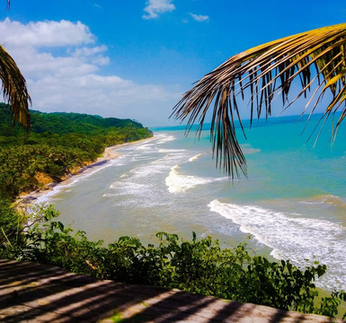 Tide Escuela de Surf-帕洛米诺必去景点