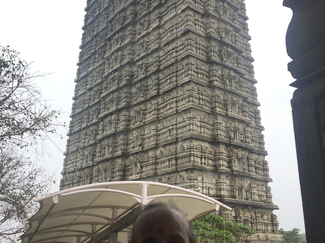 Hotel Mahalakshmi Residency主图