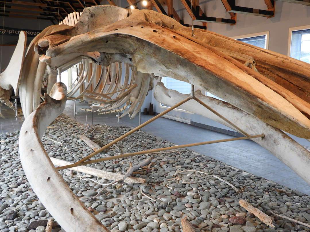 Town of Trout River-Trout River必去景点