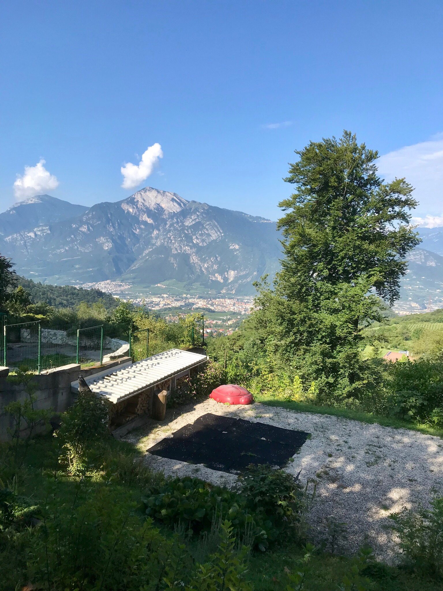 B&B White Rose-官方