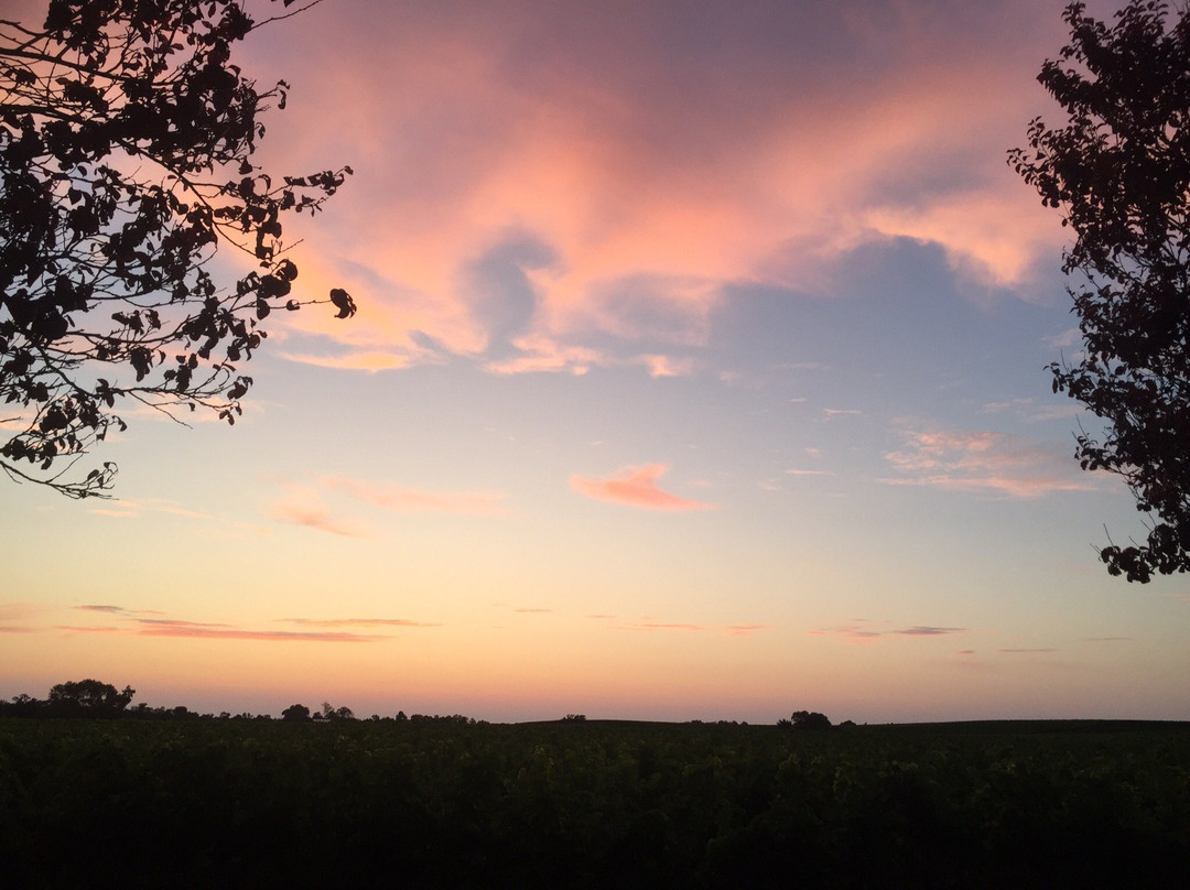 Chateau Pierre de Montignac主图