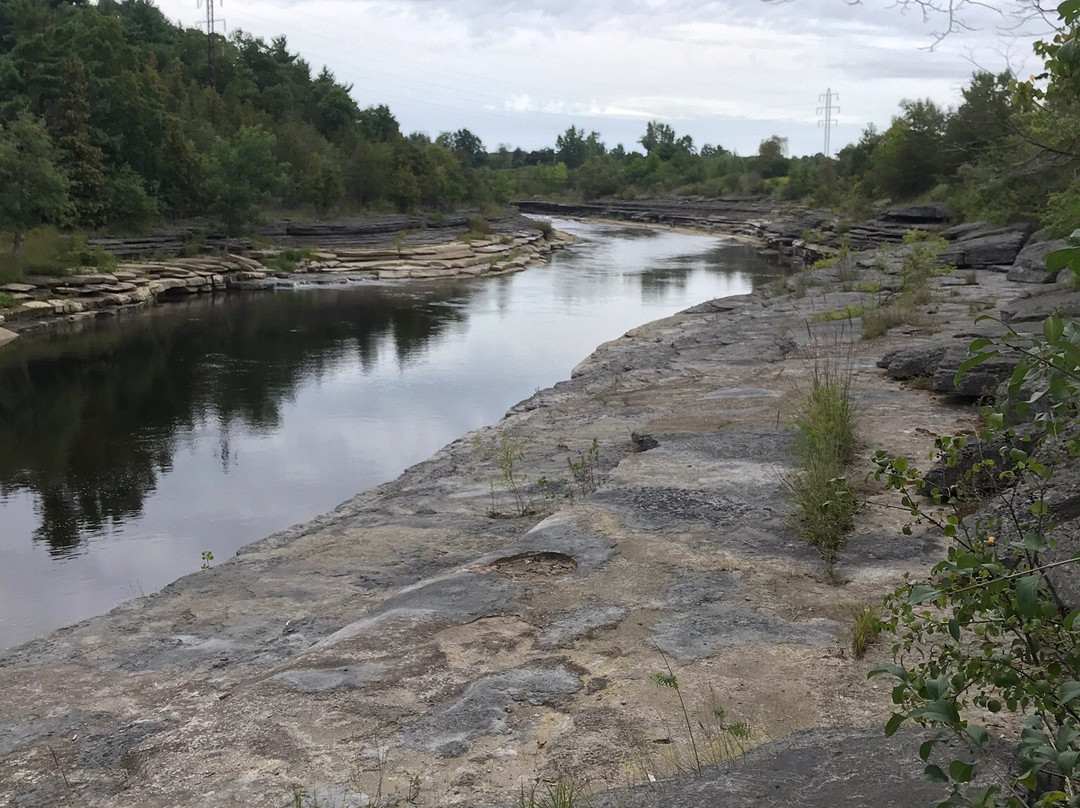 Black River Trail-Black River必去景点