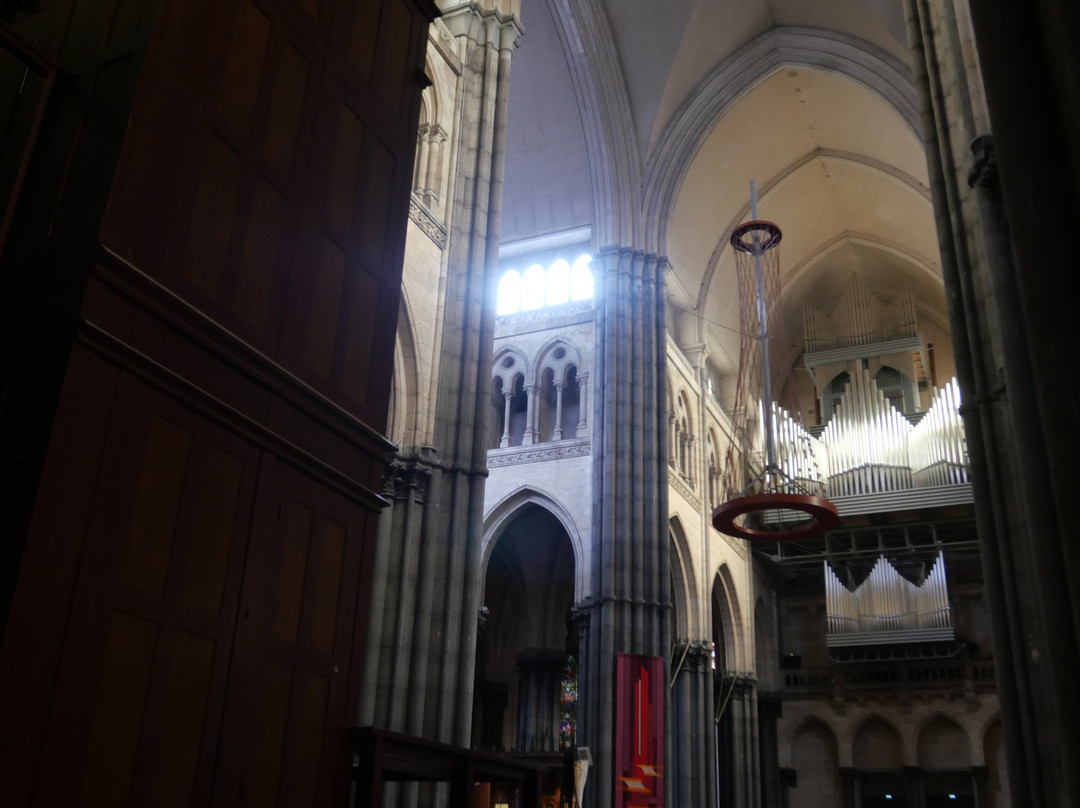 Cathedrale de la Treille景点图片