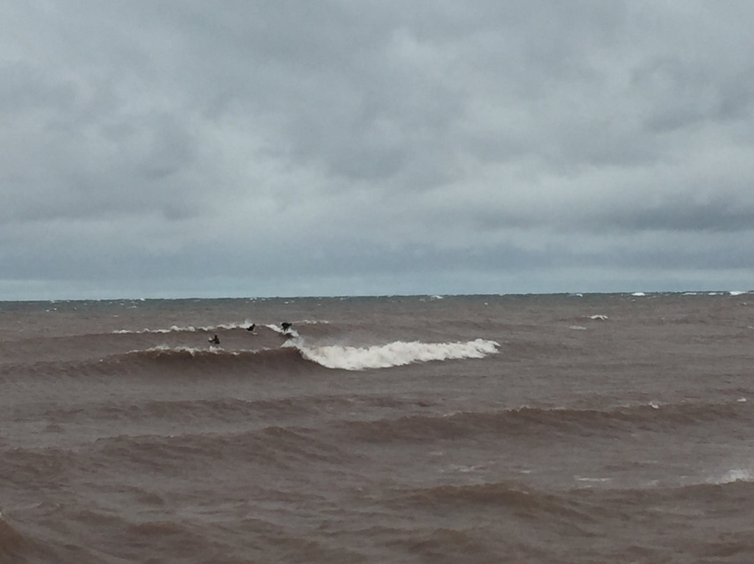 McLain State Park-汉考克必去景点